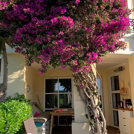 Cap Esterel Le Jardin Cote Mer , Spa Thalgo Climatisation ,Parking ,Parc Aquatique Piscines, Saint-Raphael (Var)